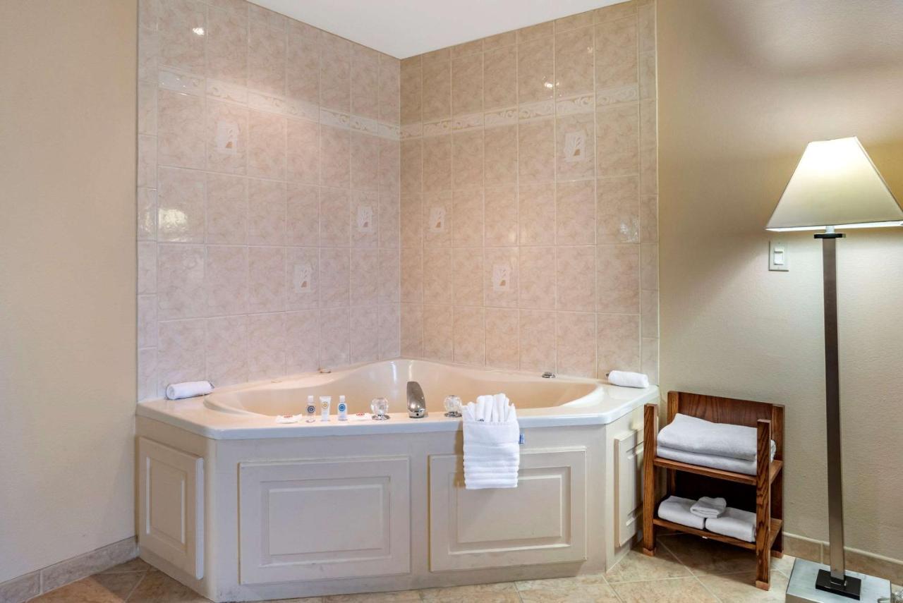 Comfort Hotel